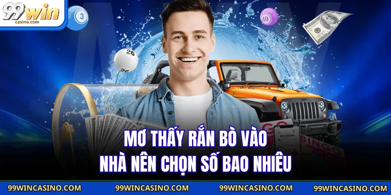 Mơ thấy rắn bò vào nhà nên chọn số bao nhiêu